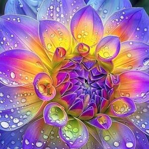 Meet your Posher, Hayden